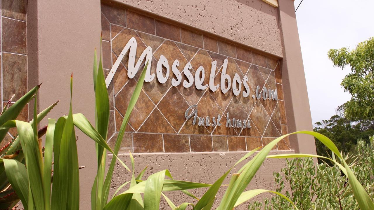 Mosselbos Guesthouse Self-Catering Great Brak River Экстерьер фото
